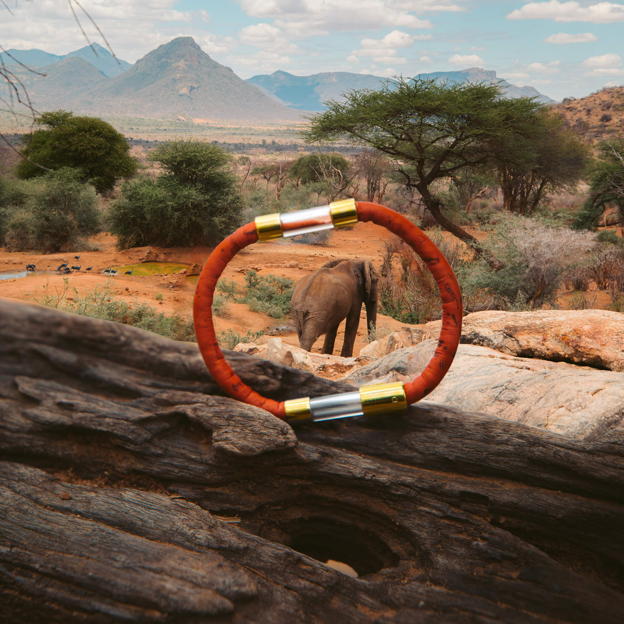 Elephant Legend Bracelet - Image 10