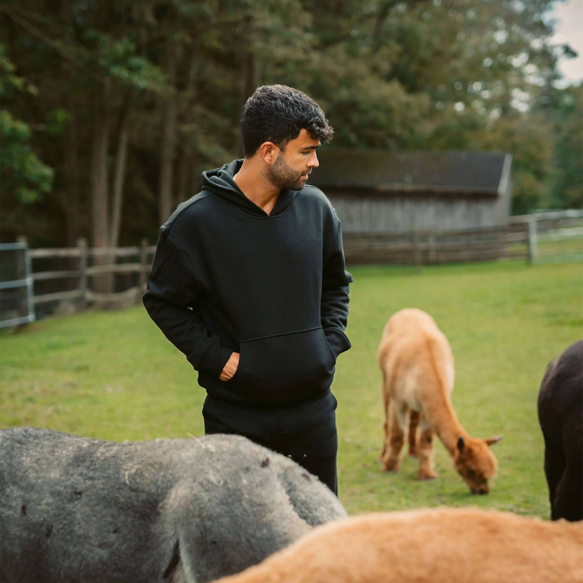 Men's AlpacaCloud® Heavyweight Hoodie - Image 15