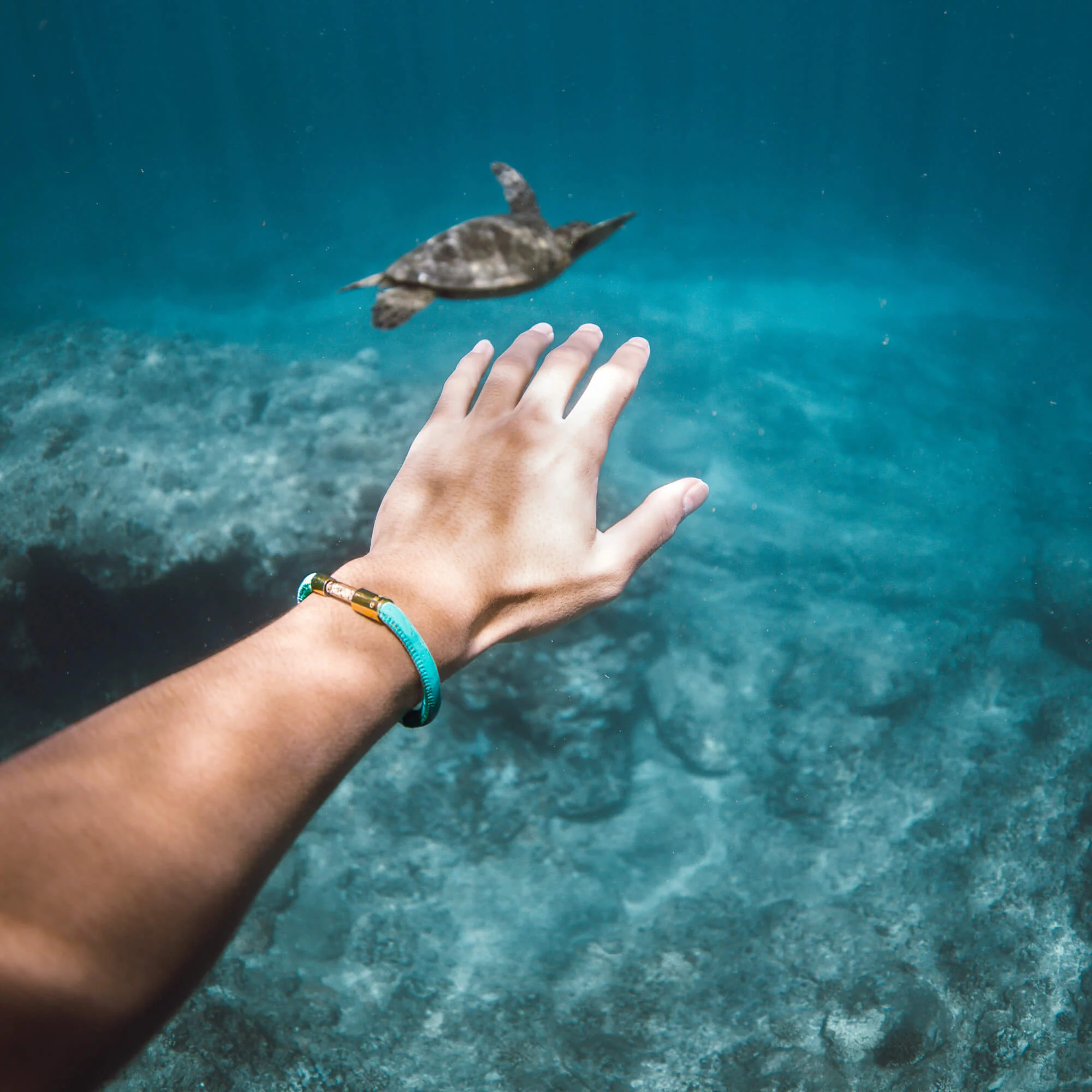 Sea Turtle Legend Bracelet - Image 13